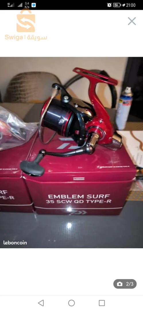 عين تادلس مستغانم