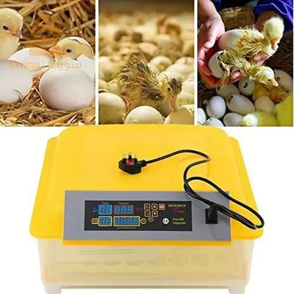 حاضنة دواجن كهربائية أوتوماتيكية بالكامل مع خاصية تلقائية لتقليب البيض بقدرة إستعاب 56 حبة بيض