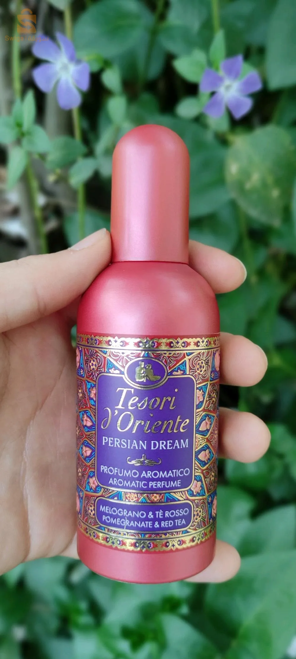 عطر تيزوري