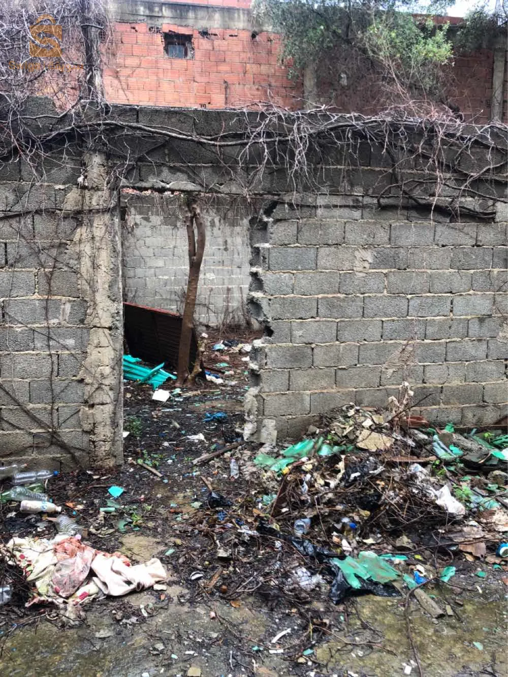 شارع فوق لاقاع