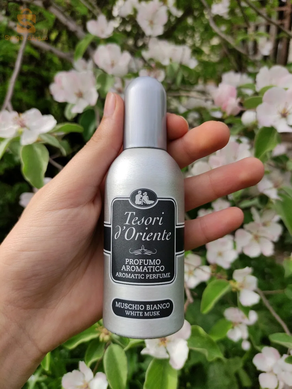 عطر تيزوري