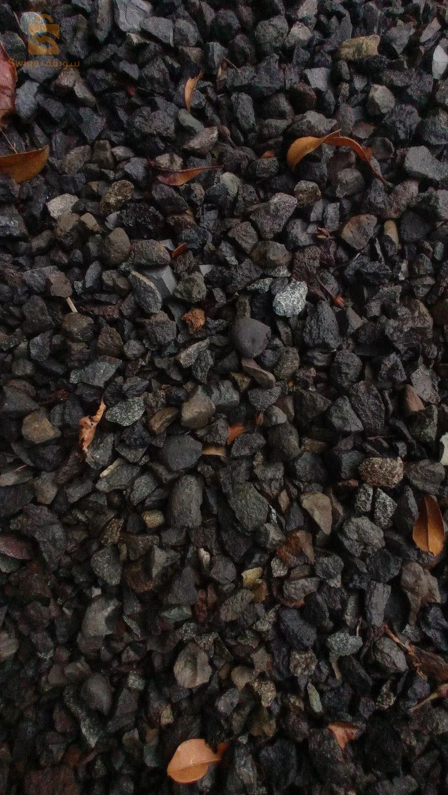 roche pouzzolane  🪨 💯😍🐠🐠