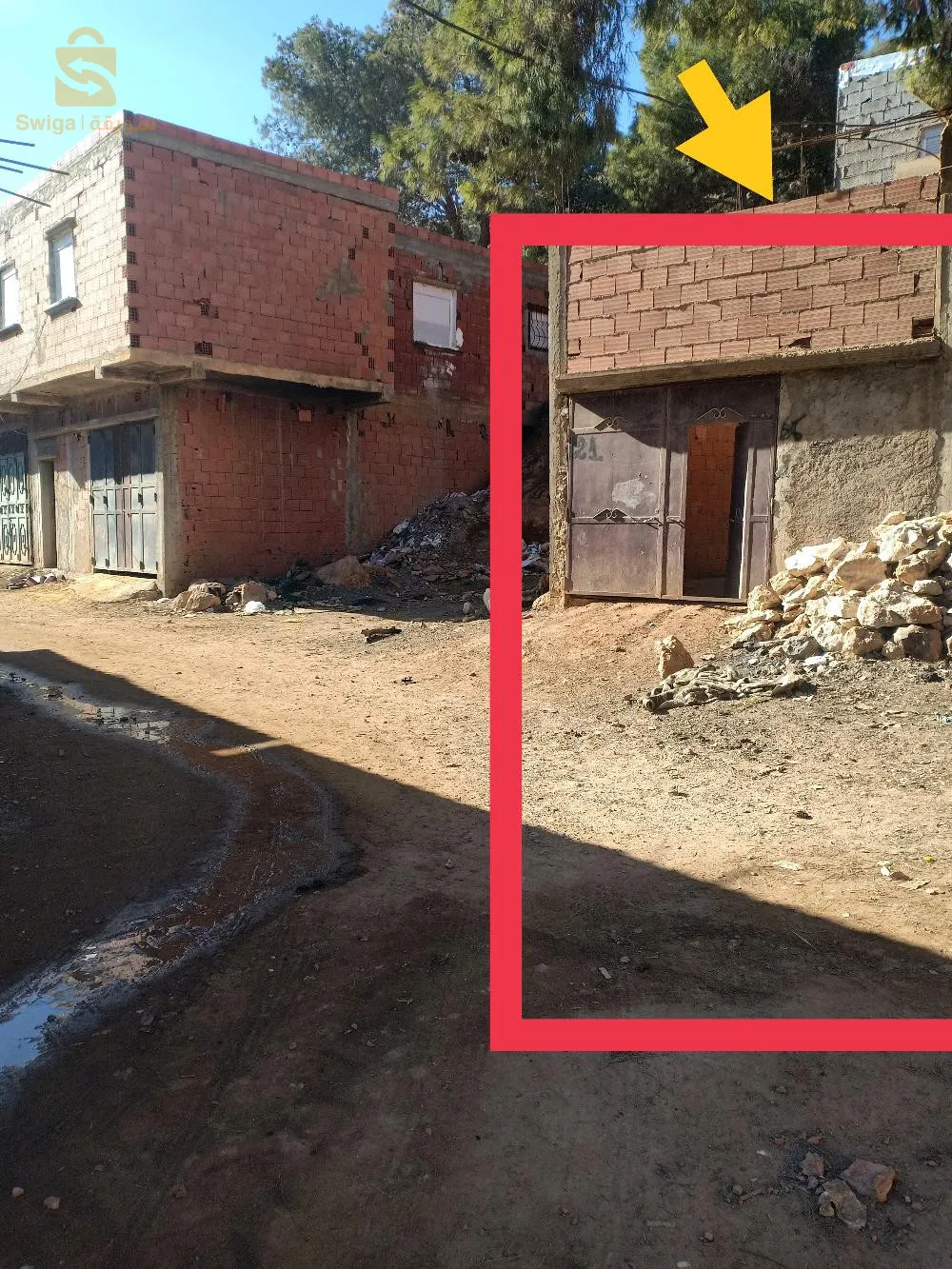 .فوضوي بحيث بوعمامة الحاسي (فوضوي المصلى ) بوهران