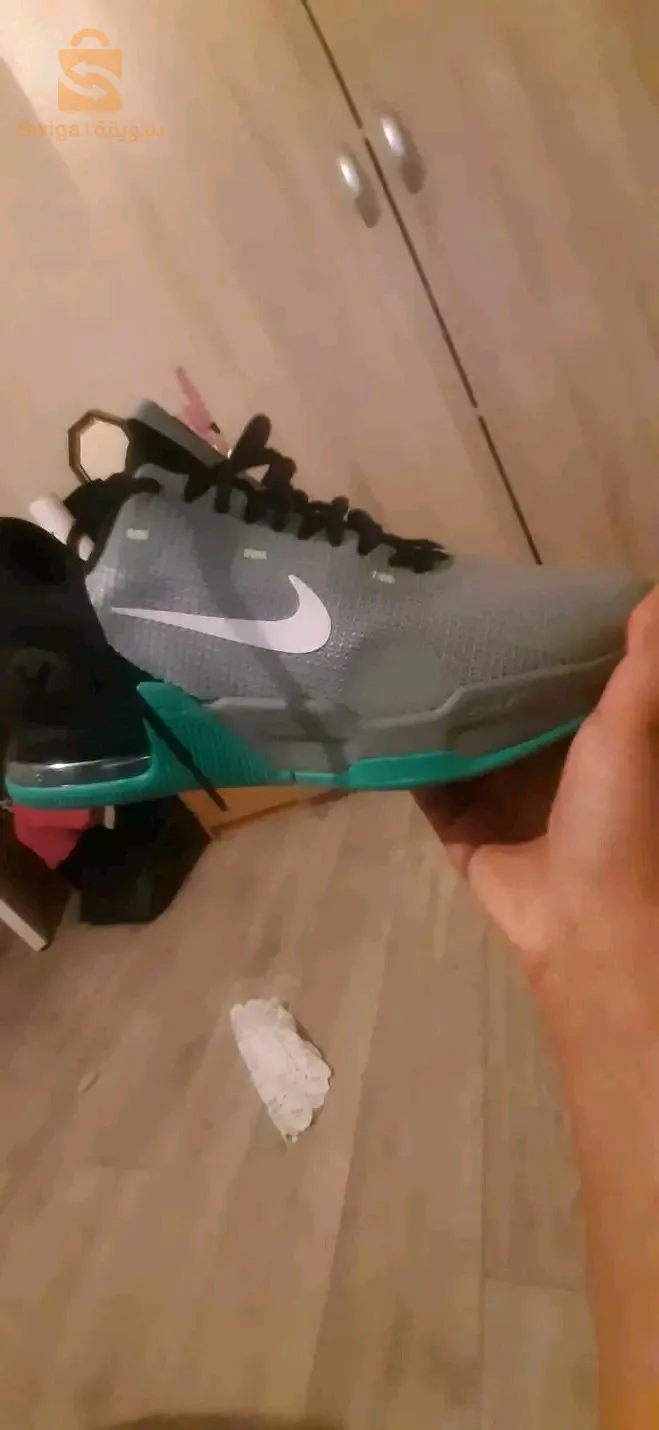 باسكات اوريجينال