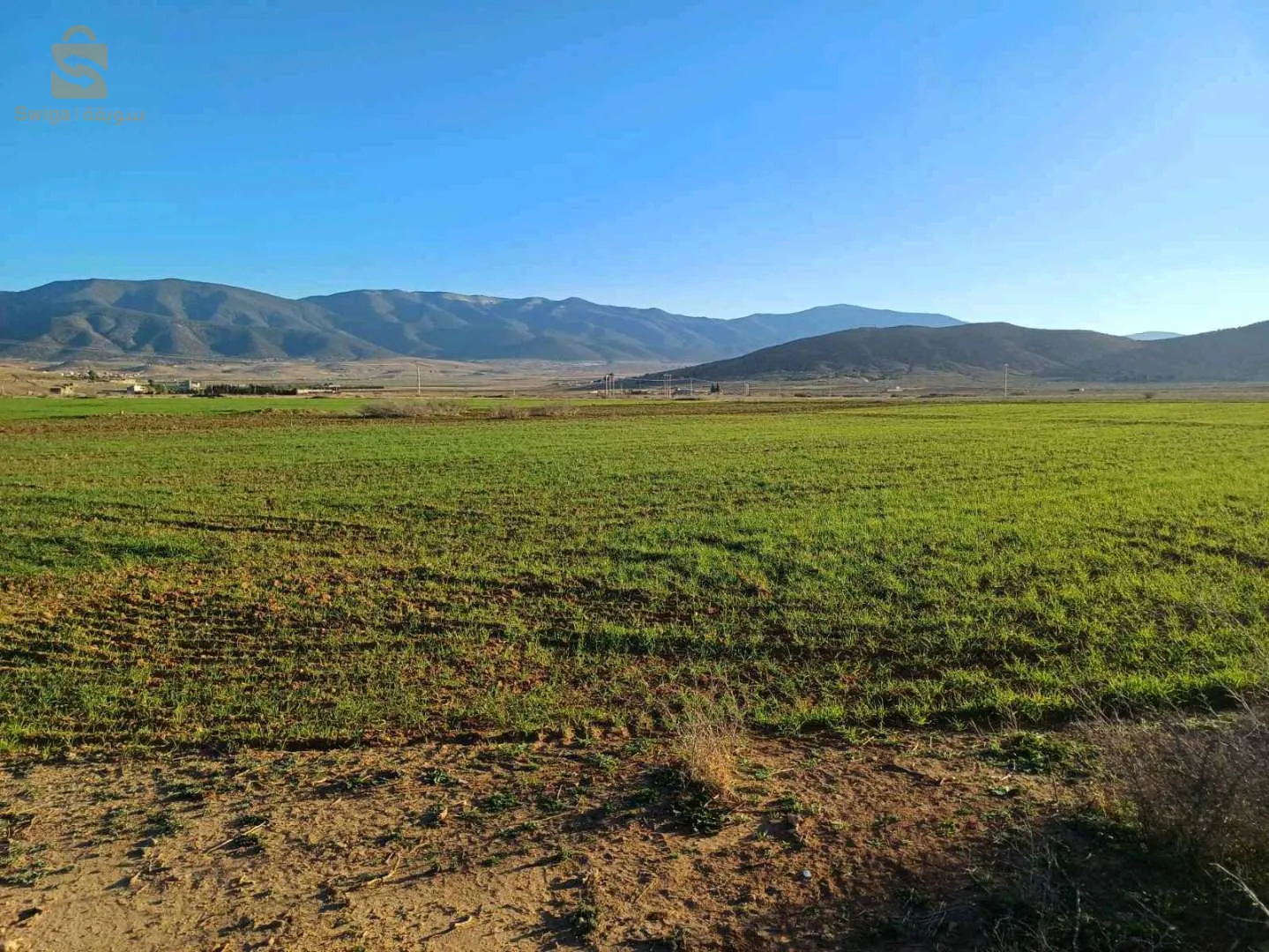 بومية المعذر باتنة