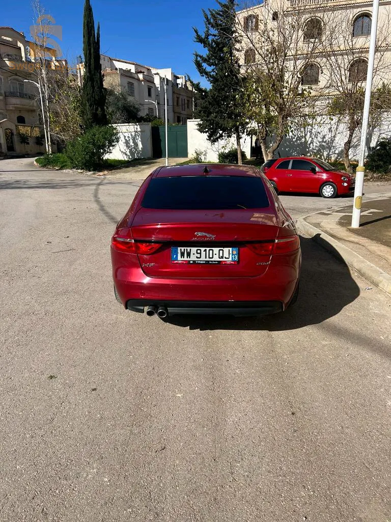 hydra