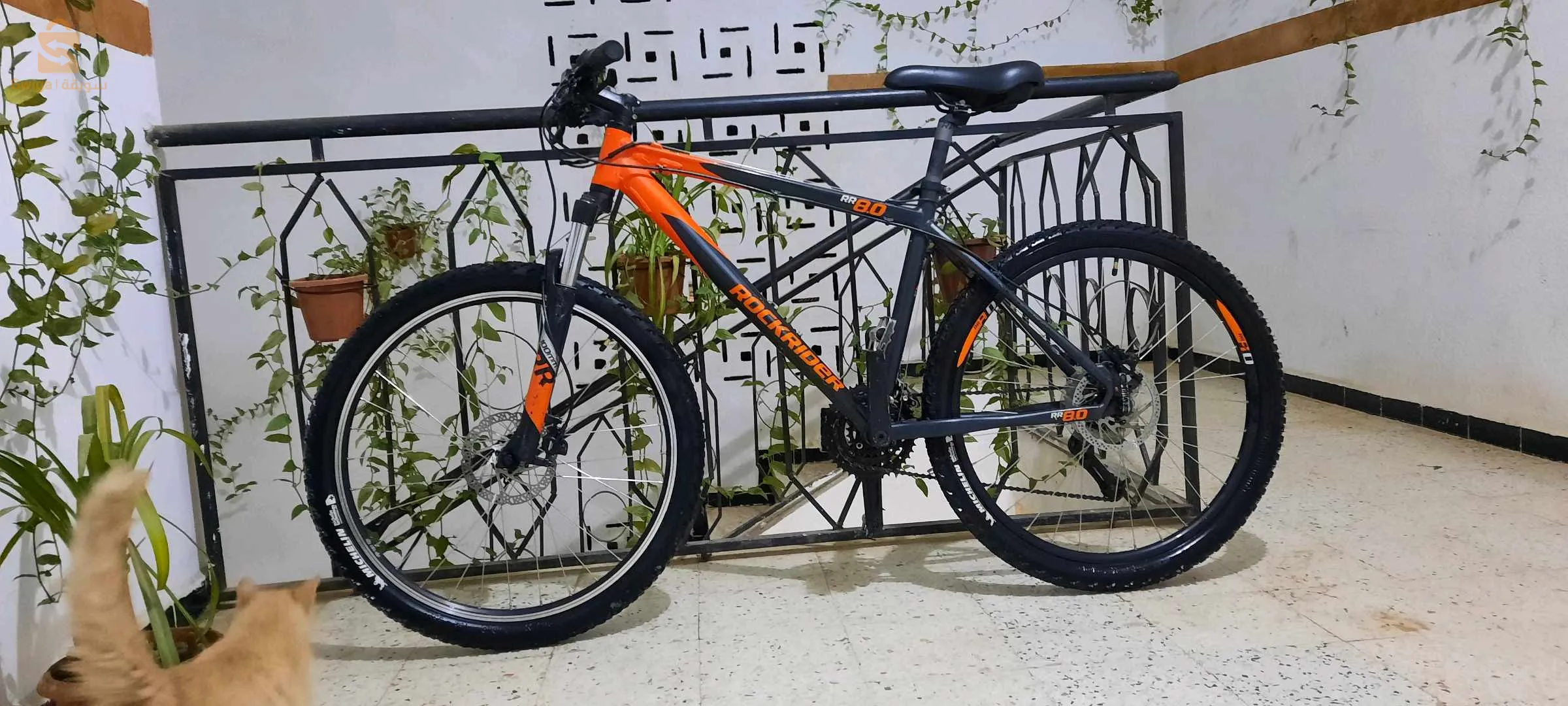 Vélo Rockrider  8.0 RR