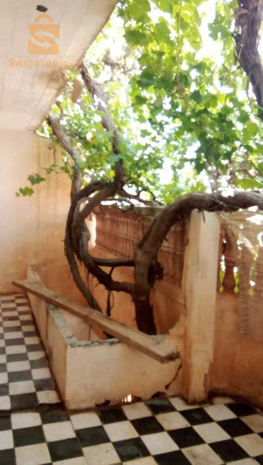 منزل (حوش) بالجلفة حي بلغزال بجوار المقبرة الخضراء