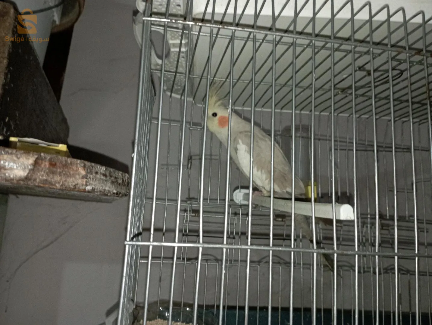 حي 792مسكن عمارة 44