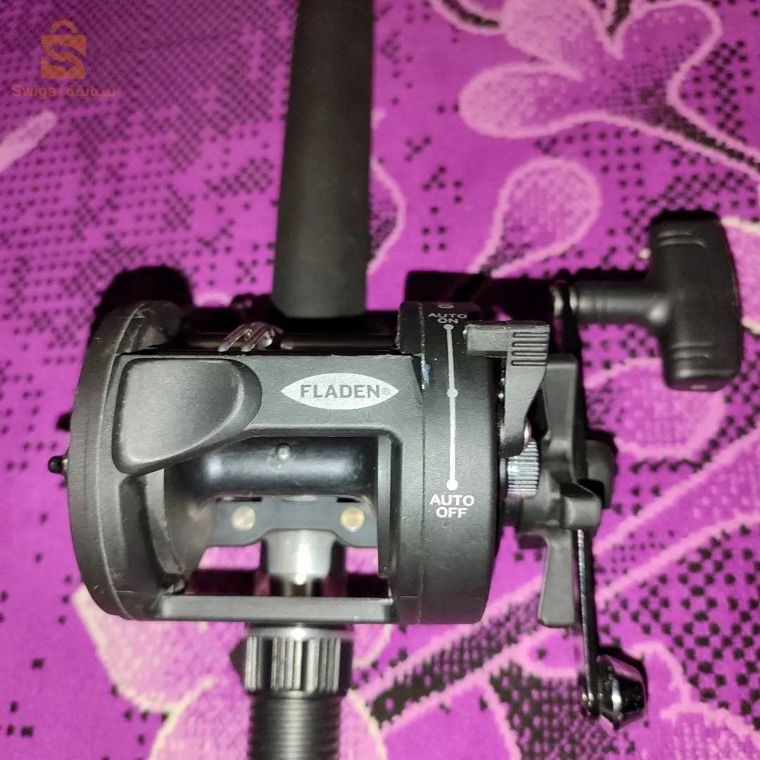 عين تادلس مستغانم