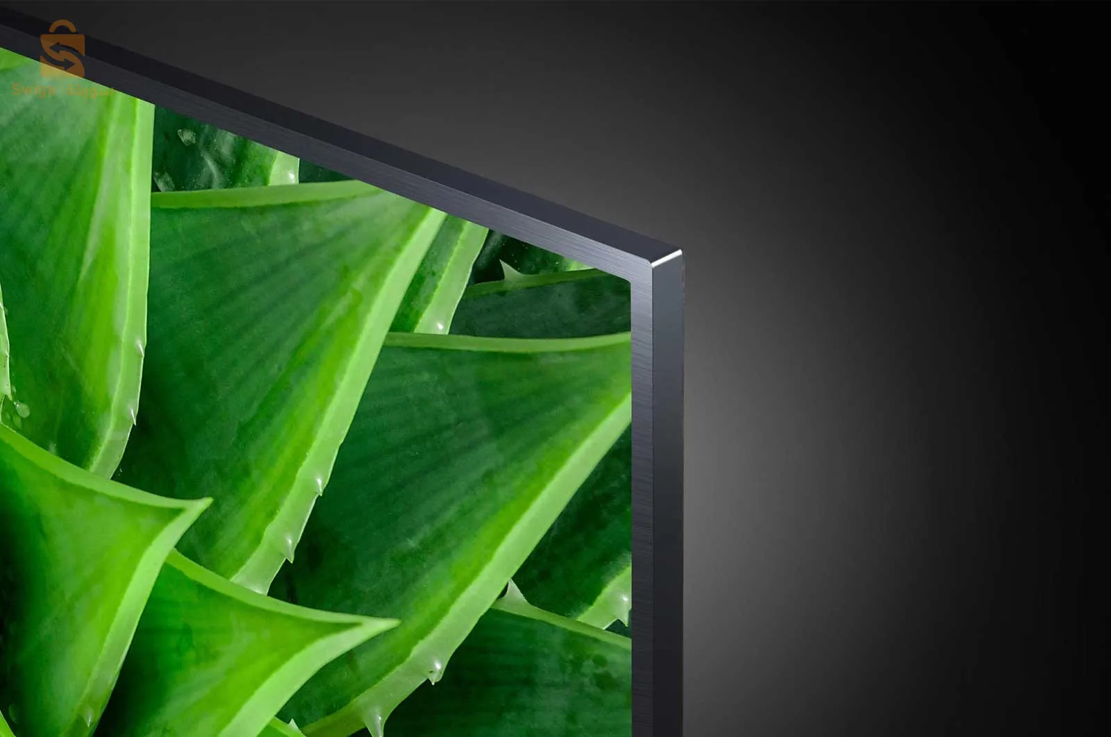 Téléviseur LG – 49” (123 cm) | TV LED | UHD | 4K
119.500 د.ج 118.800

التوصيل لجميع الولايات
0782760619