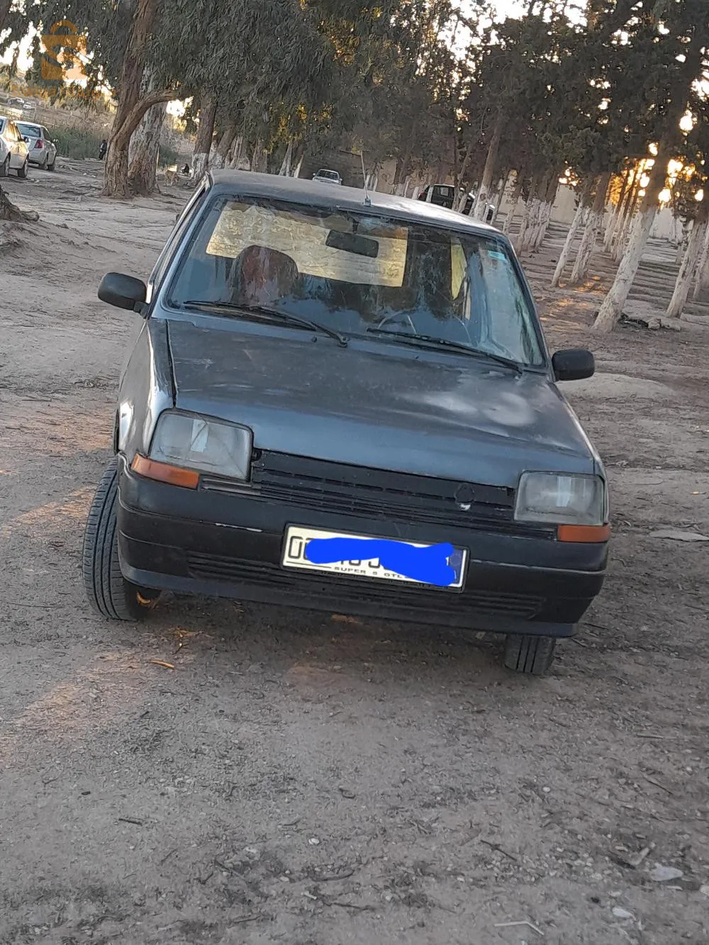 بوقيراط