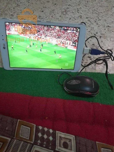 معسكر. فيب