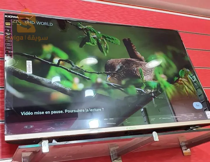 Triplette PIRANHA Original