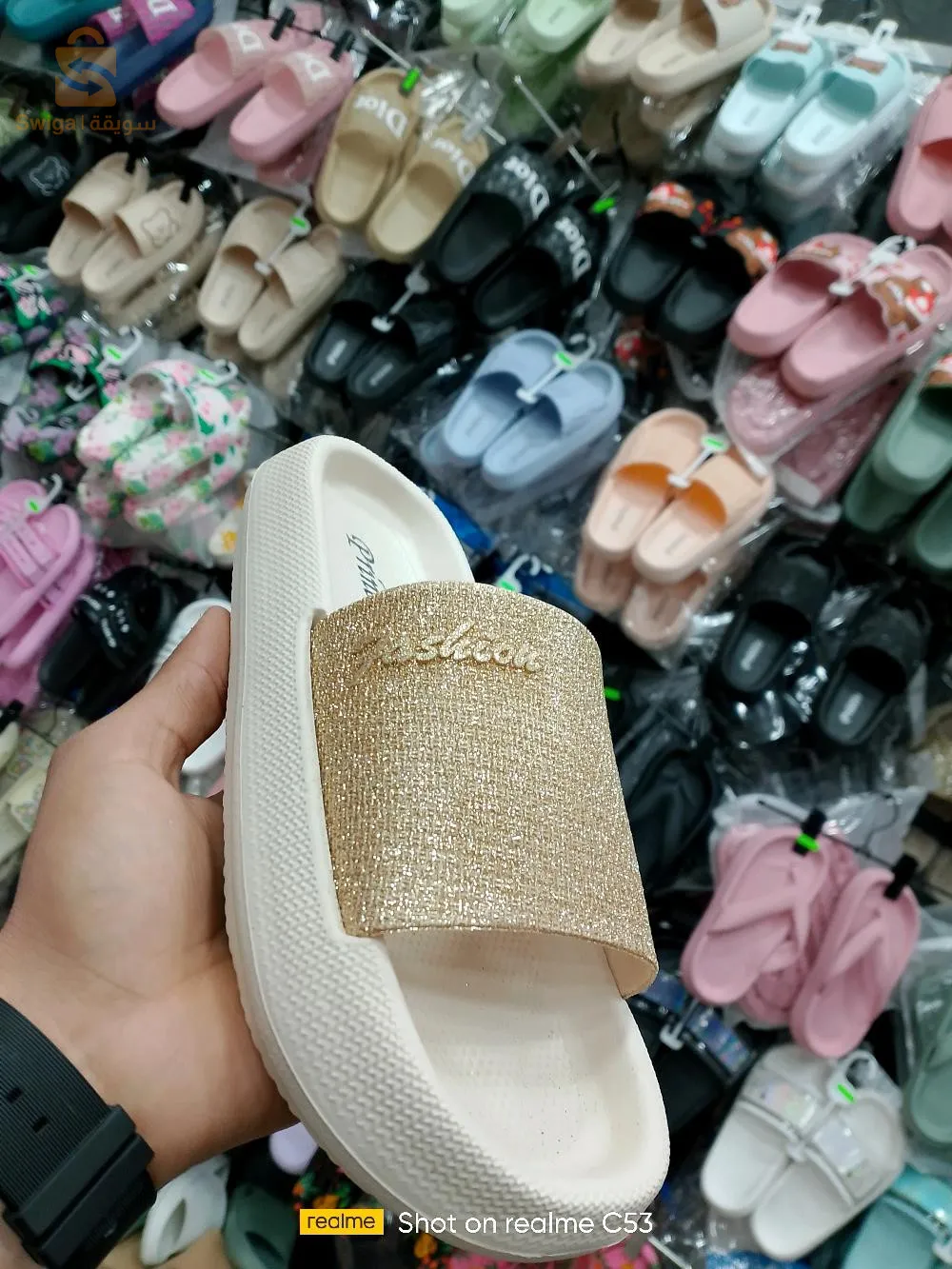شلغوم العيد