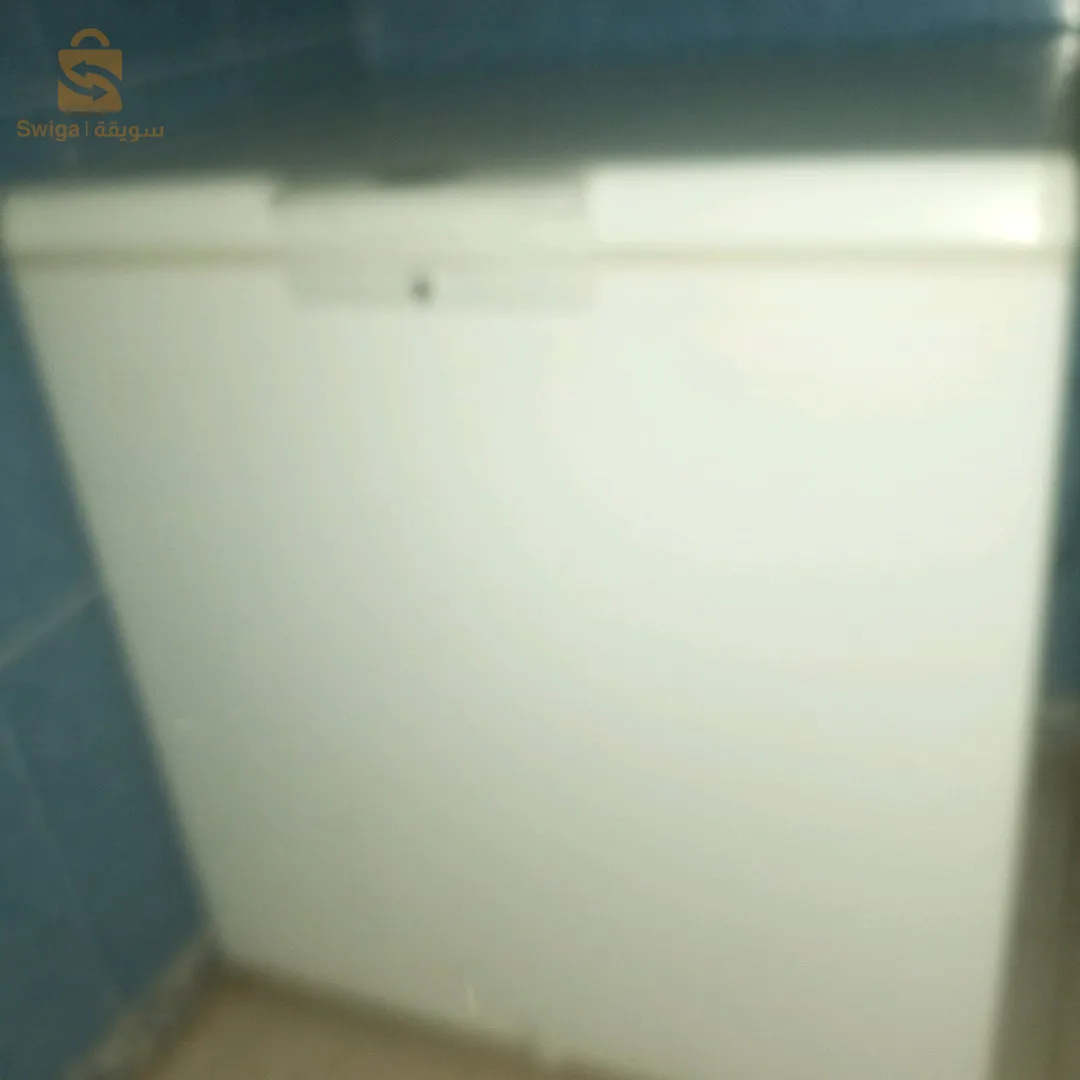 كونجيلاتور للبيع