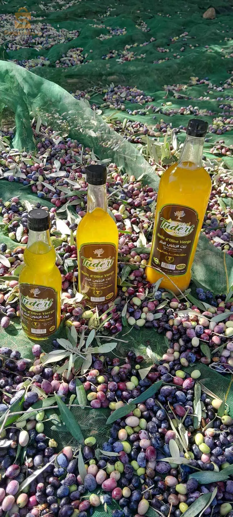 Investisseur agricole individuel, Hassan vous propose la meilleure huile d'olive de la région Kabylie. Pour plus de renseignements sur d'autres produits, n'hésitez pas à nous contacter. Nous vous assurons la livraison (gros).