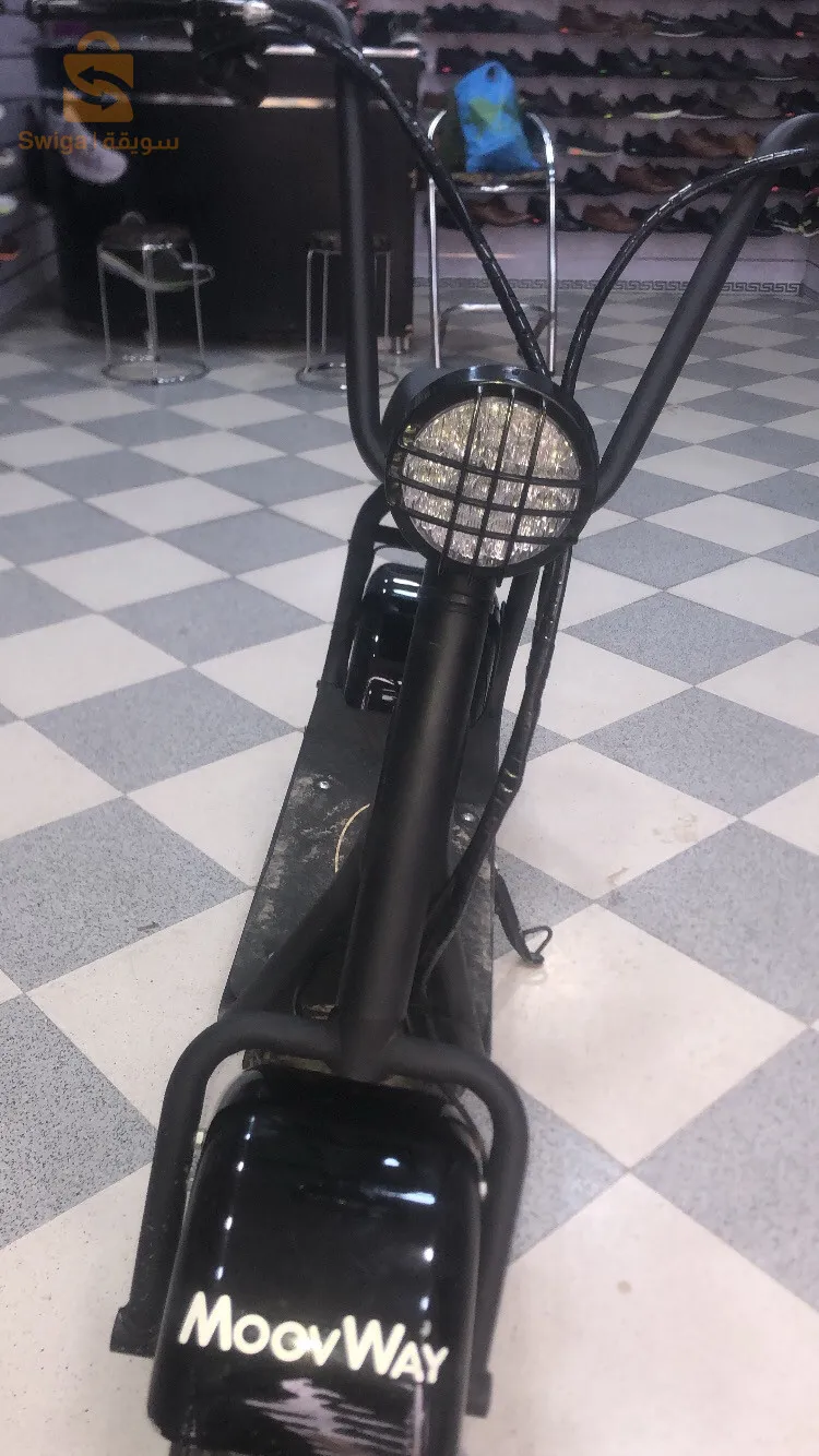 Woovway electric bike