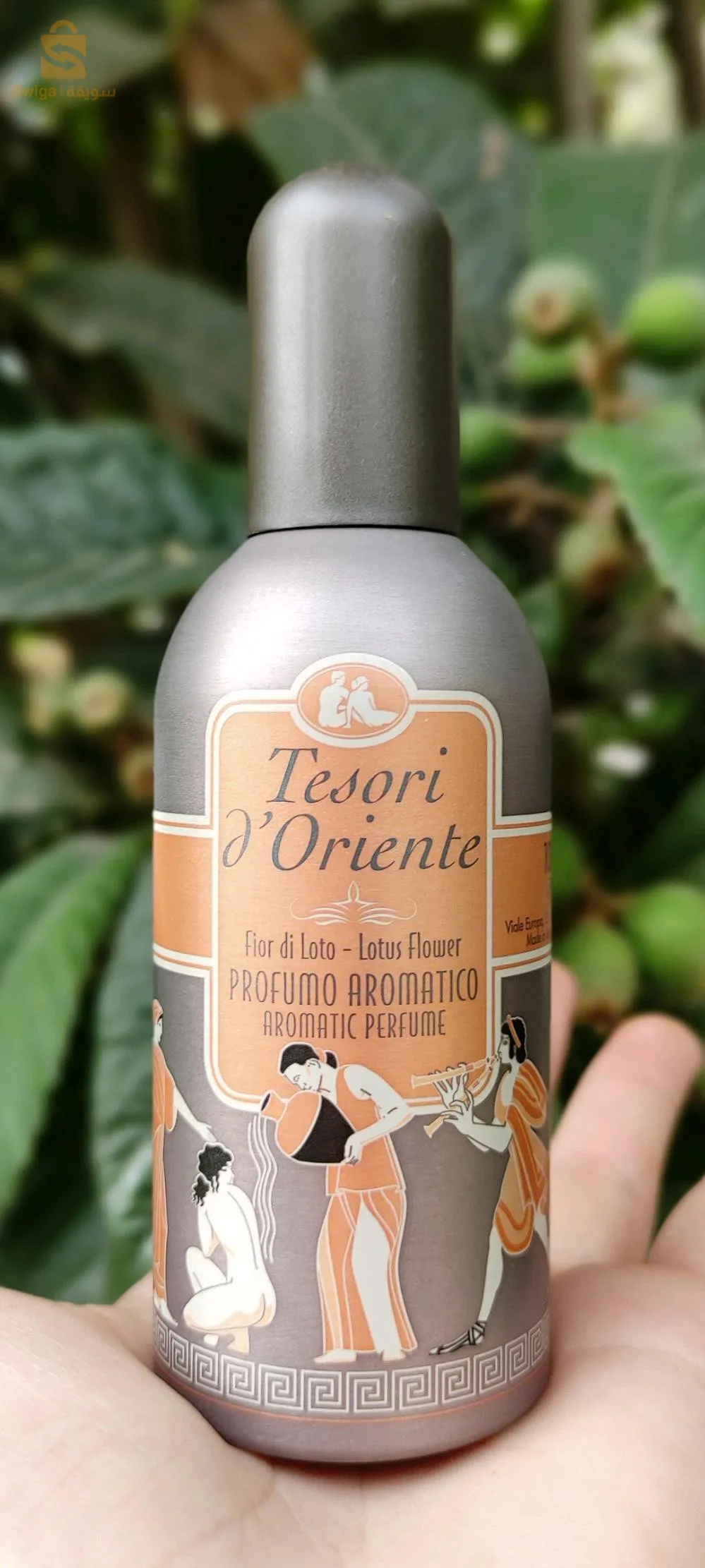 عطر تيزوري