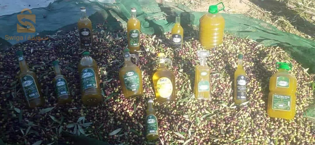 "استكشف جوهر البحر الأبيض المتوسط مع زيت الزيتون البكر البكر الفاخر لدينا، الذي يتمتع بجودة عالية. تمت طحن الزيتون بالبارد للحصول على أجود النكهات، مما يجعل زيتنا يعكس روعة ونقاء الطبيعة. رائحته الفاتنة وطعمه الفاخر والمفعم بالفواكه يستحضر المنحدرات المشمسة وحدائق الزيتون المحملة بأشعة الشمس. مثالي لتحسين نكهة أطباقك، يُعتبر زيت الزيتون لدينا كنزًا مطبخيًا يضفي لمسة من الفخامة على كل وجبة. امنح نفسك لحظات الأصالة الفاخرة مع زيت الزيتون لدينا، الذي يُعتبر رمزًا للجودة والتقاليد.