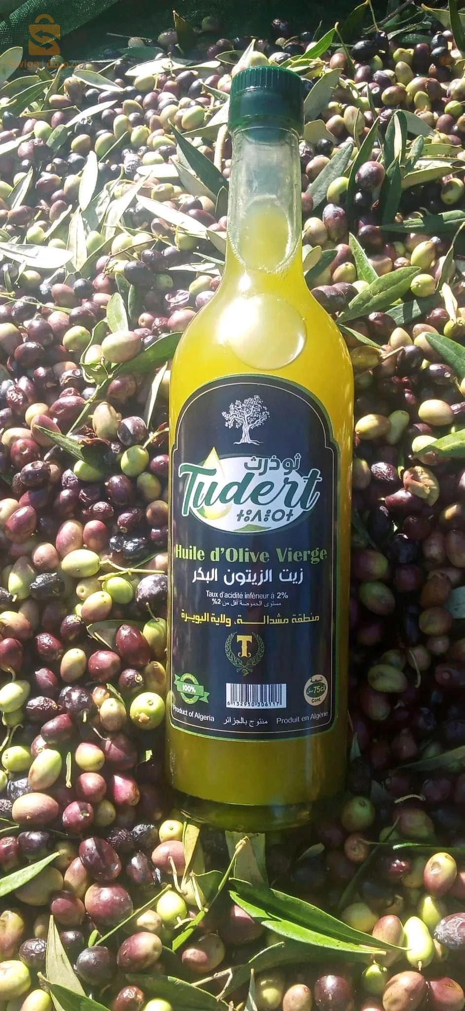 مستثمرة فلاحية فردية لحسن تقدم لكم اجود زيت زيتون في منطقة القبائل ، للاستفسار اكثر عن المنتجات الاخرى يرجى الاتصال ، نوفر لكم التوصيل (جملة)