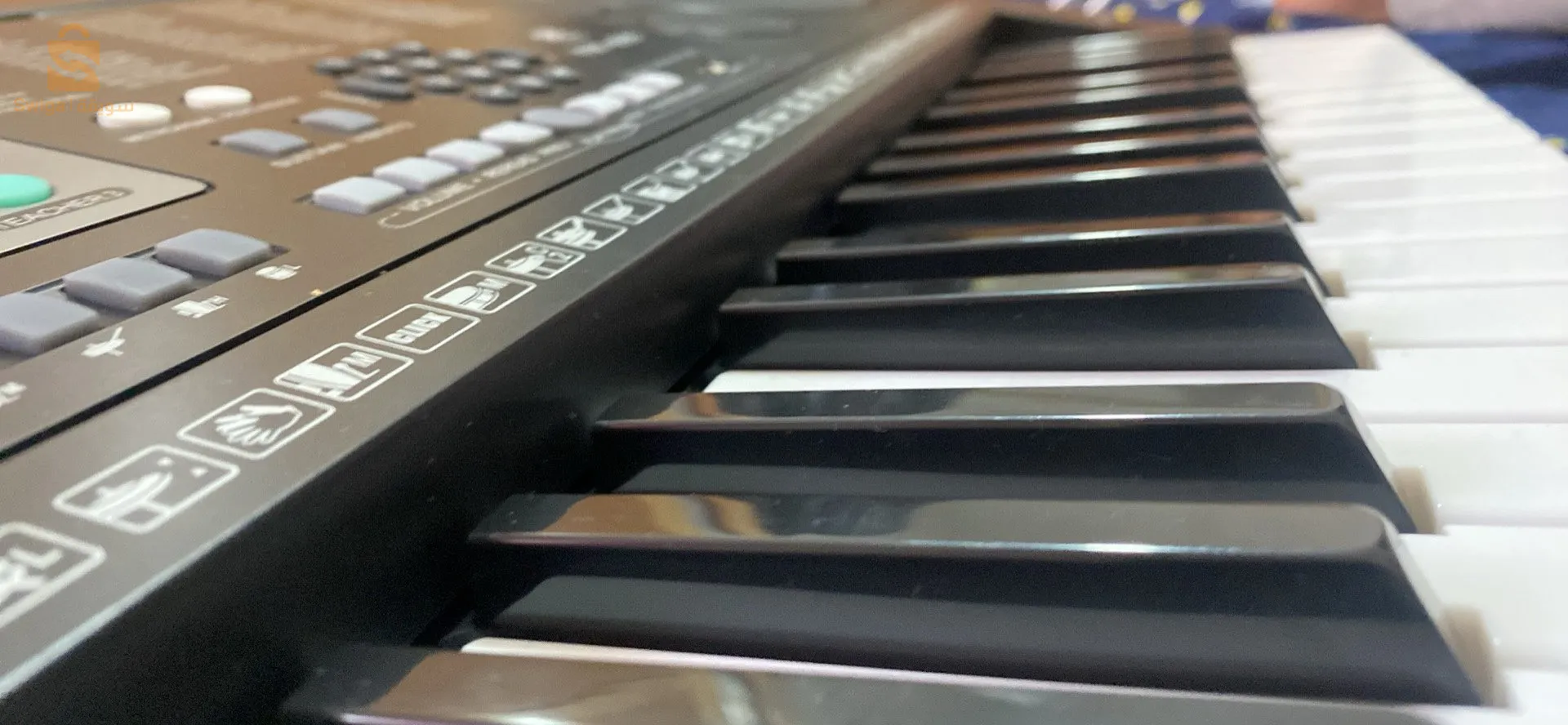 سانتي بهً كل المواصفات ❤️‍🔥🎹الأفضل في الجزائر