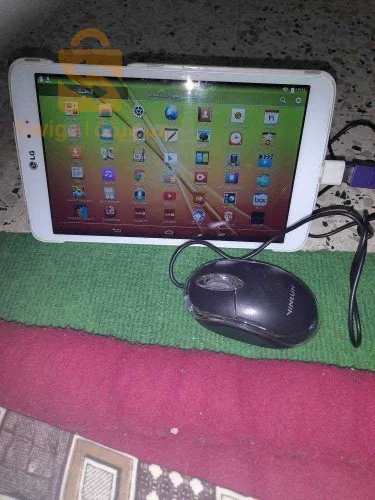 معسكر. فيب