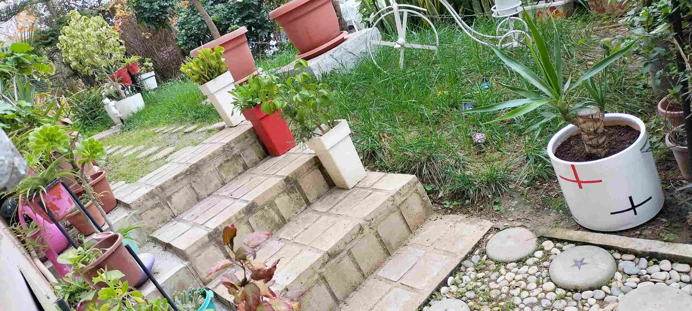 تهيئة و تجميل الحدائق بعنابة وماجاورها