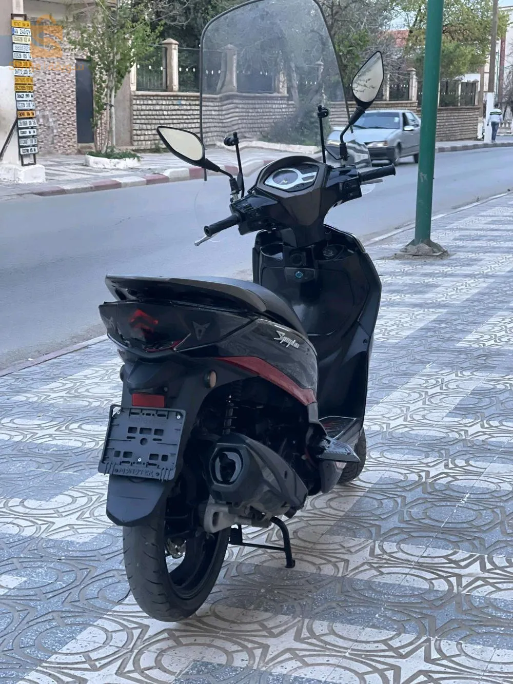 tiaret