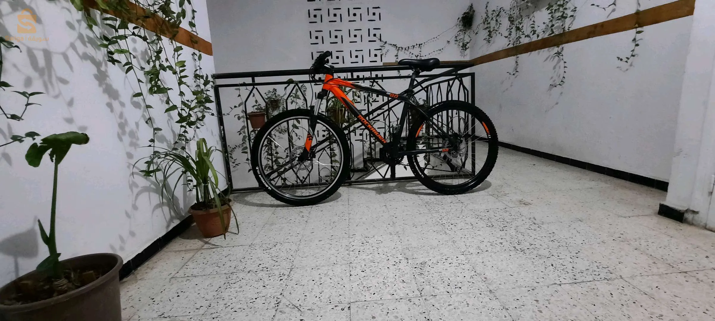 Vélo Rockrider  8.0 RR