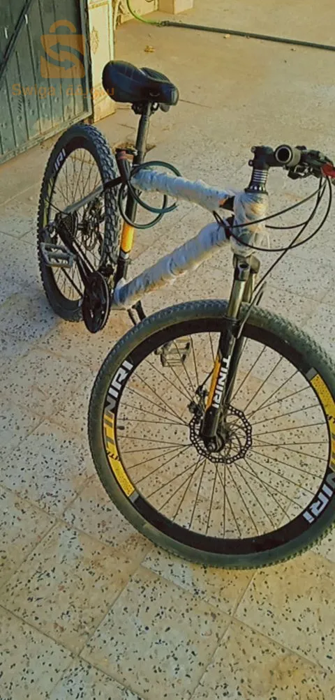 ضاية بن ضحواة