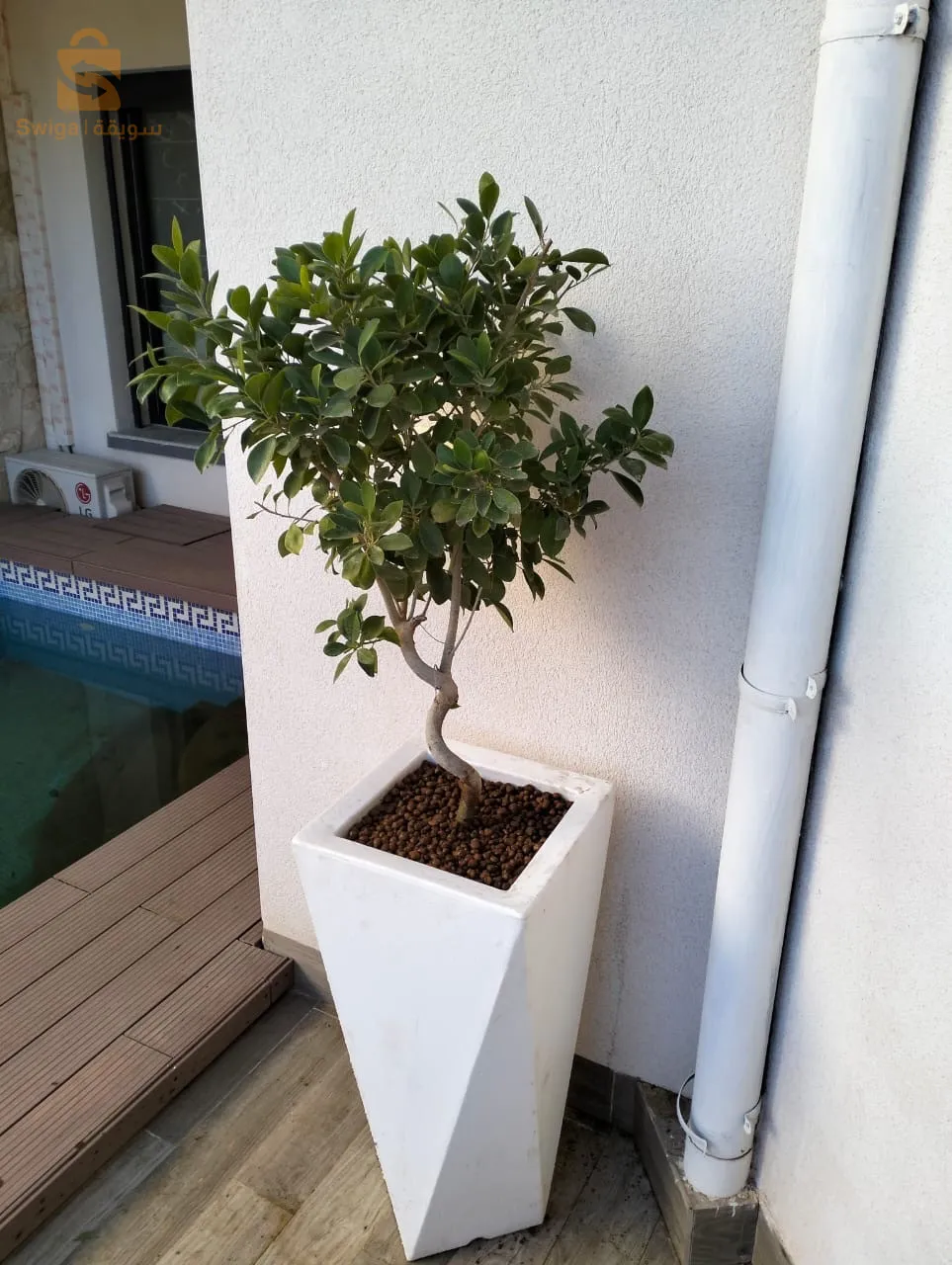 luxury product of almeria pots