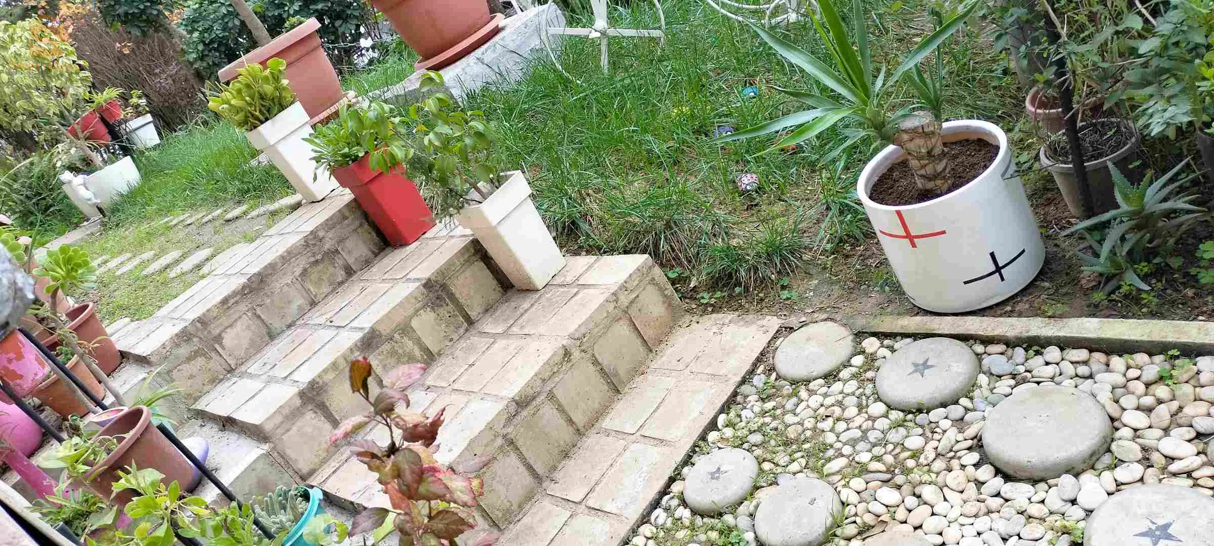 تهيئة و تجميل الحدائق بعنابة وماجاورها