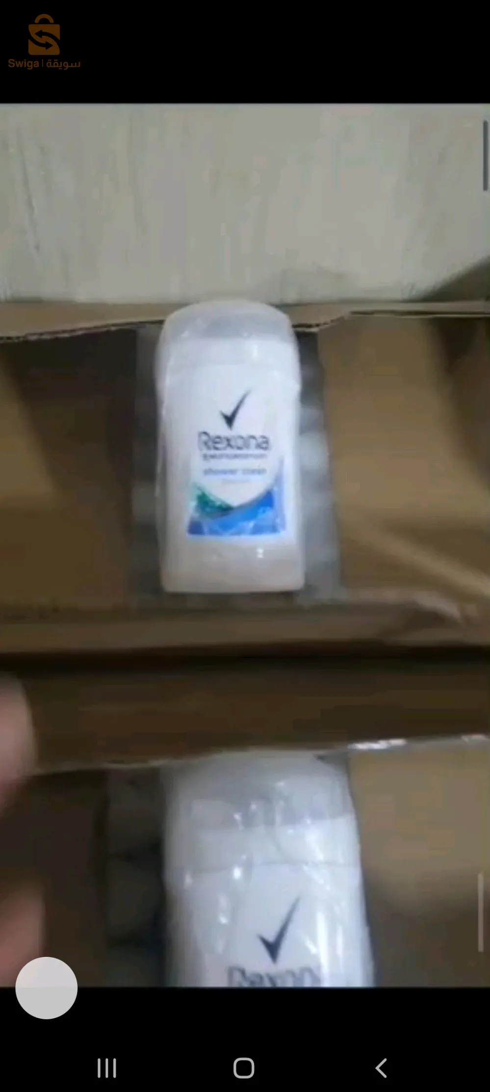 تيارت بيالاف
