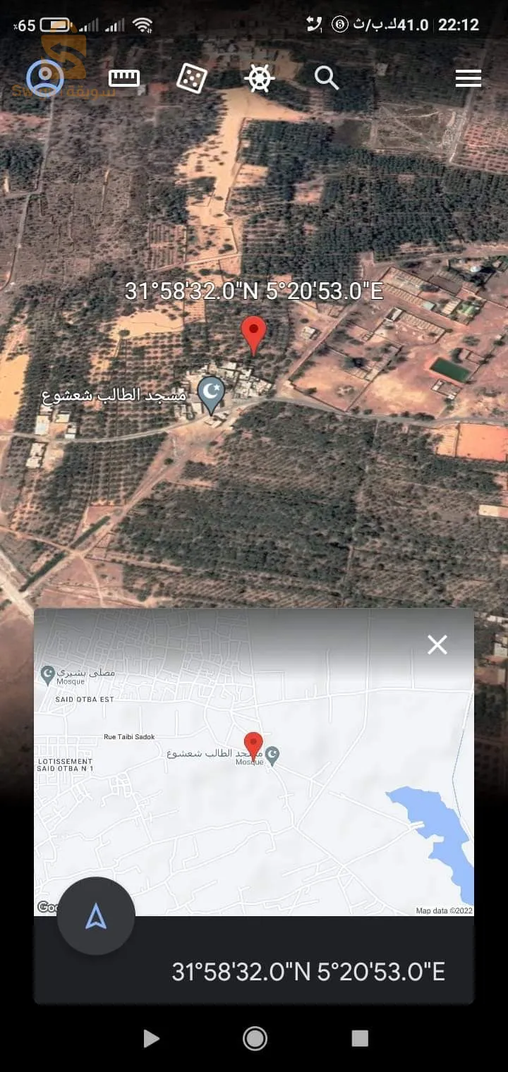 Une forêt à vendre, propice à la construction de parcelles résidentielles. Elle contient plus de 100 palmiers fruitiers, dont la plupart ont été plantés dans un livret immobilier. Son emplacement est à côté des habitants de Tirwa dans le quartier de Saeed Ataba, et sa zone dépasse 4 500 mètres carrés.