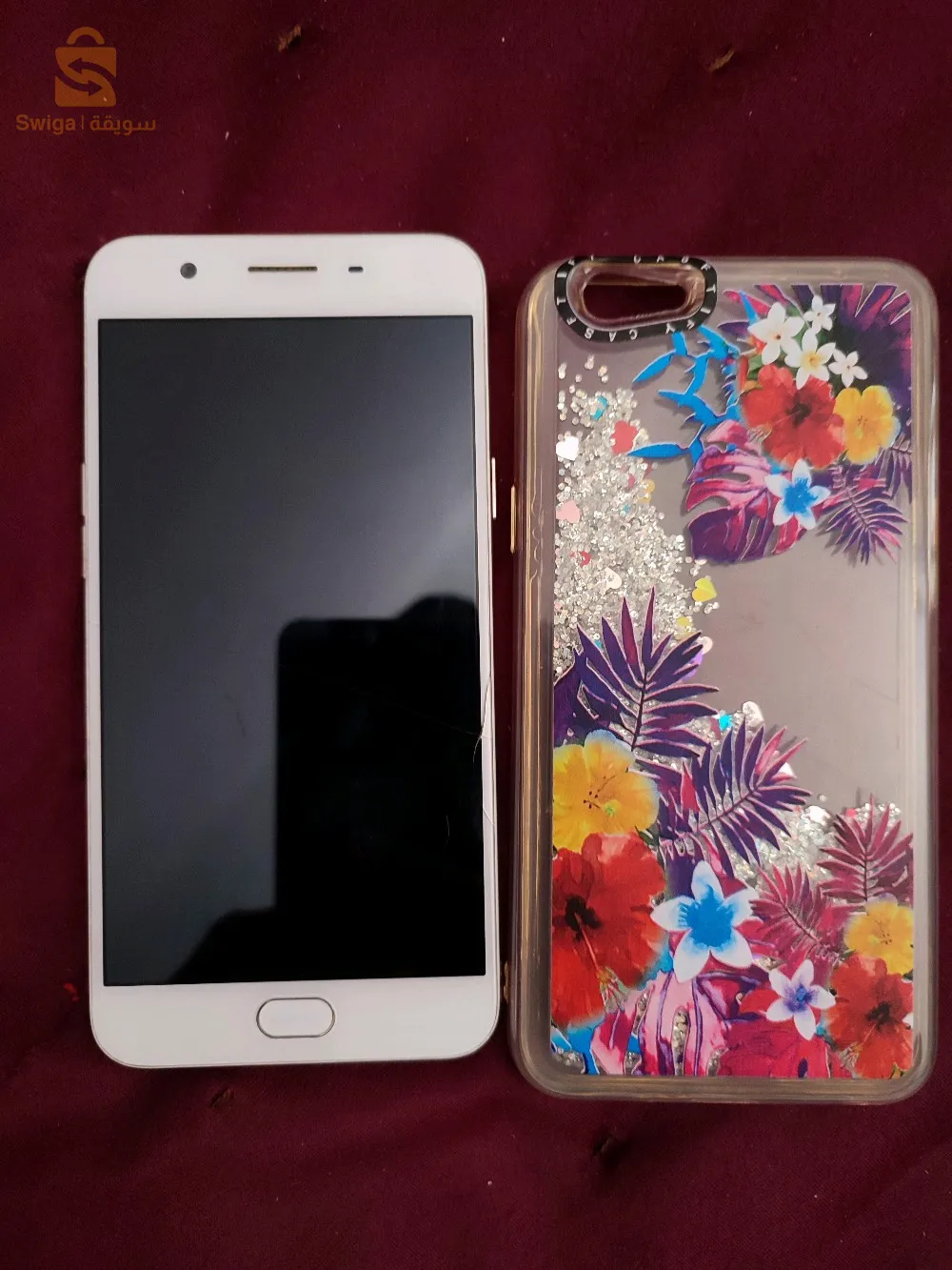 ندرومة تلمسان