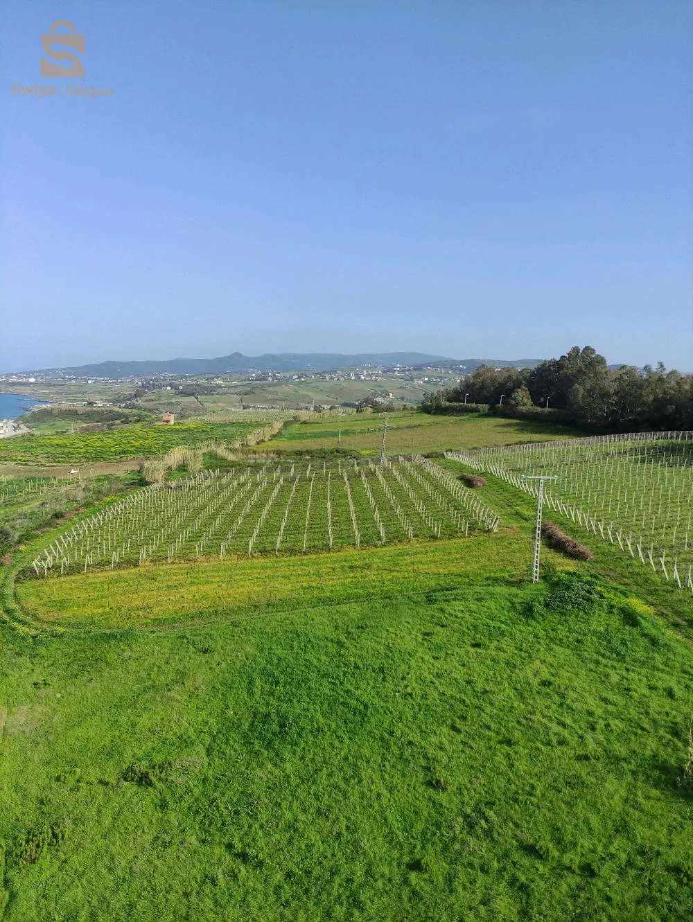 شقة f3 للبيع تطل على بحر