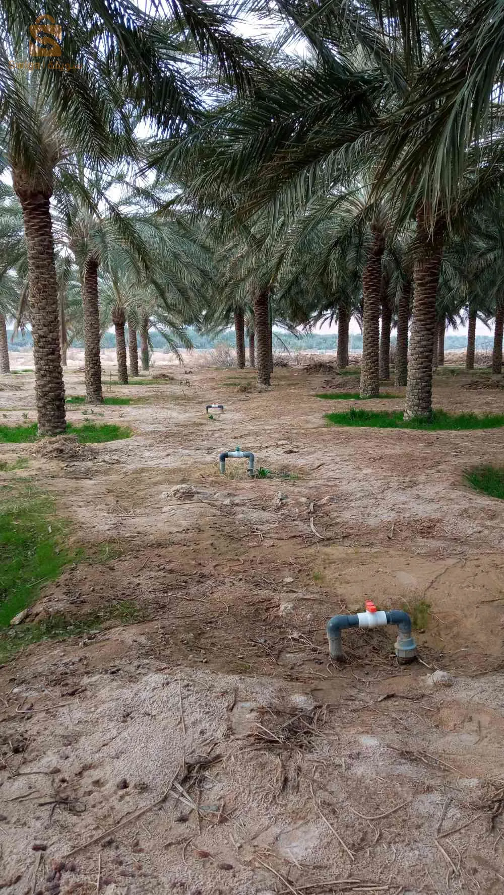 استثمار ممتاز