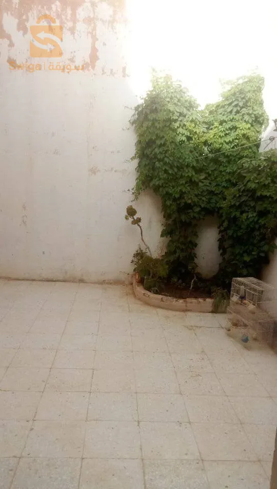 منزل (حوش) بالجلفة حي بلغزال بجوار المقبرة الخضراء