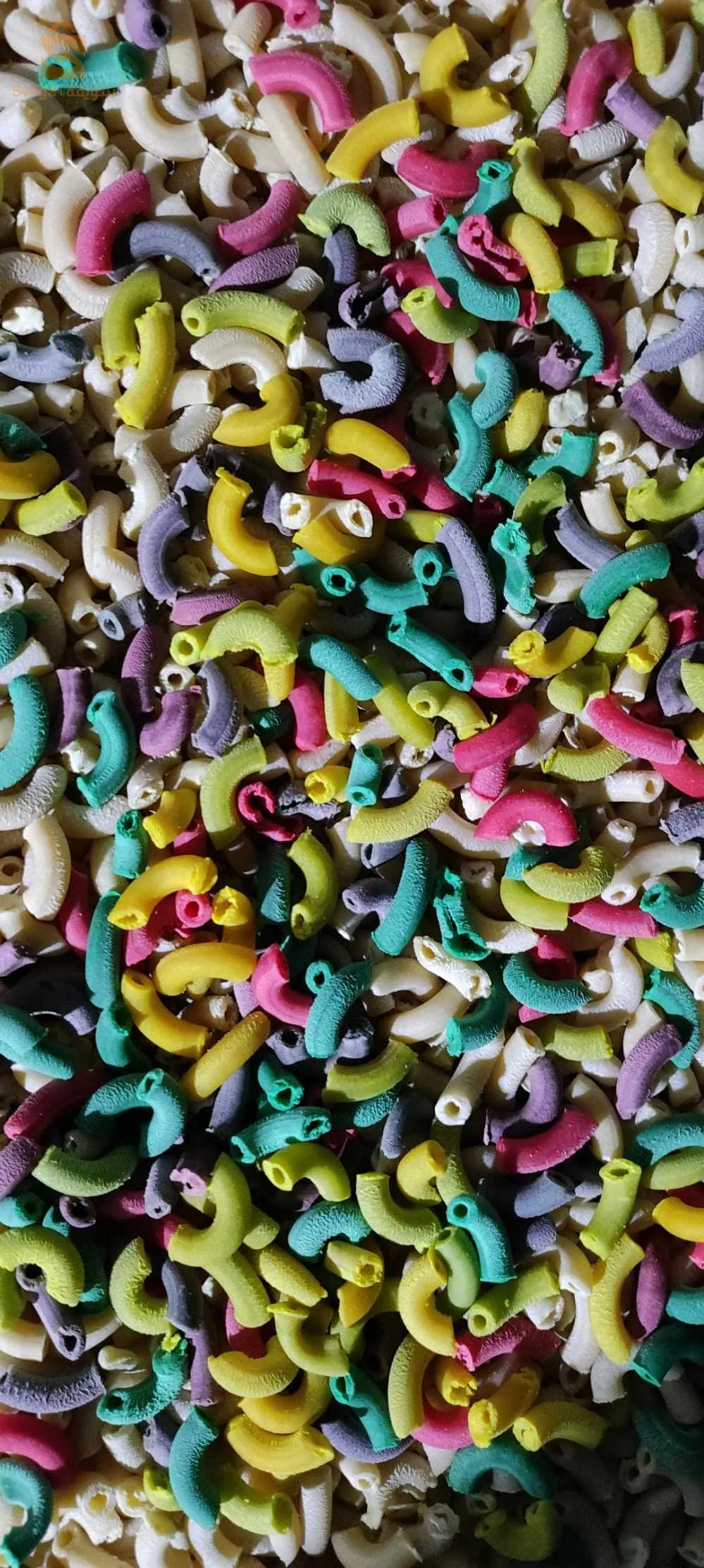 matériel pates pour chien