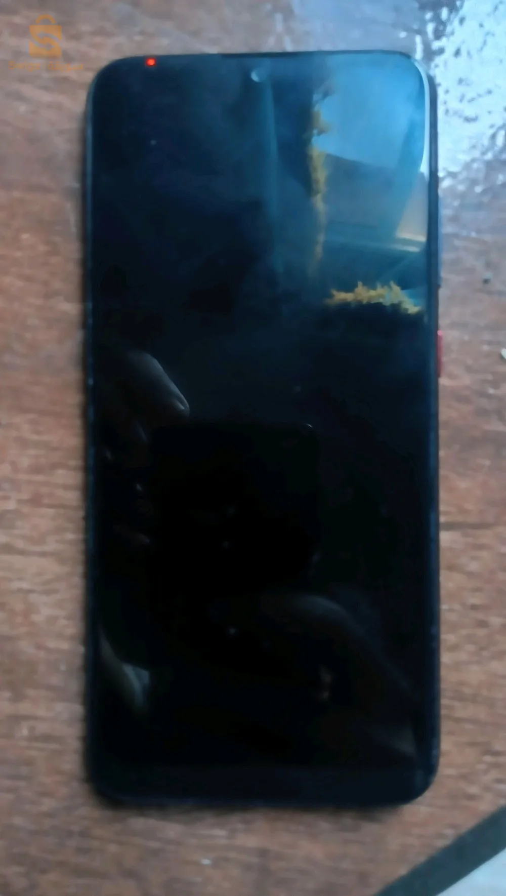 Iris N30