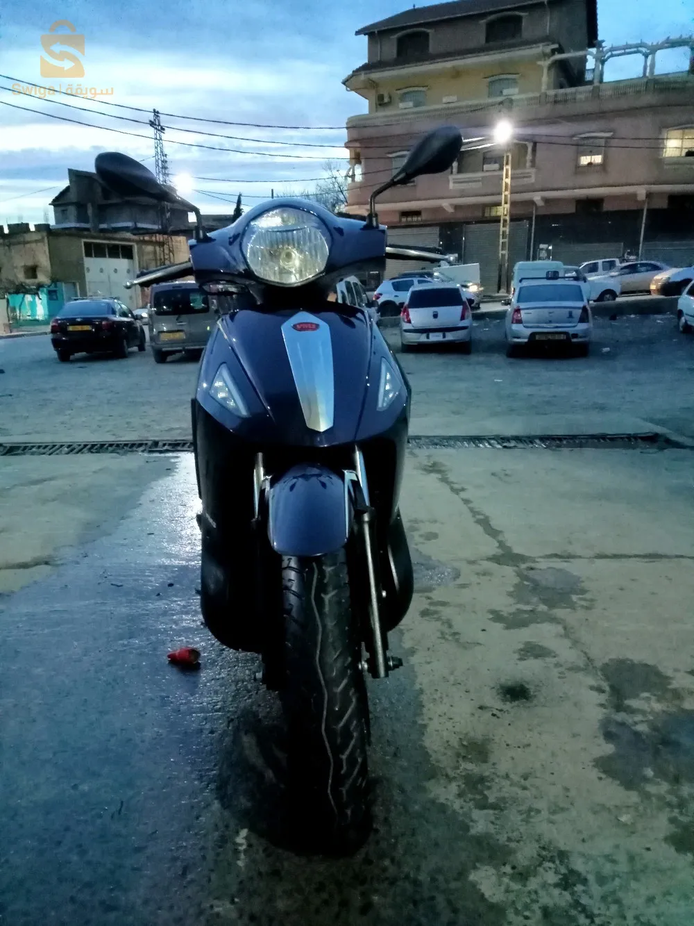 المدية