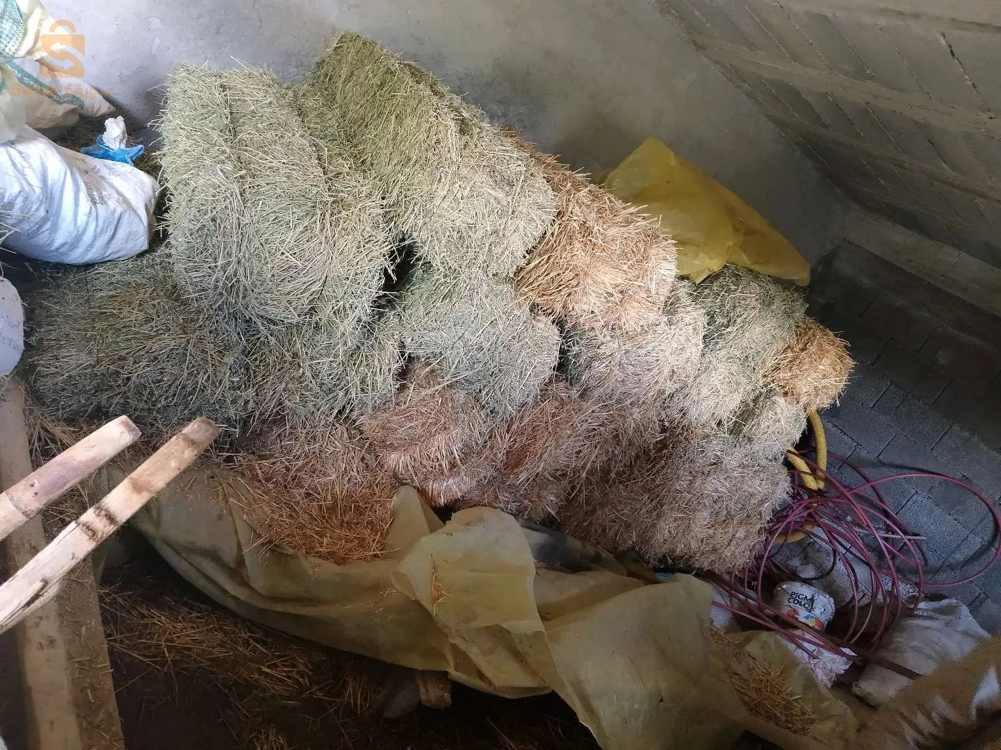 حي 96 مسكن رجاص