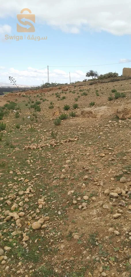 غليزان