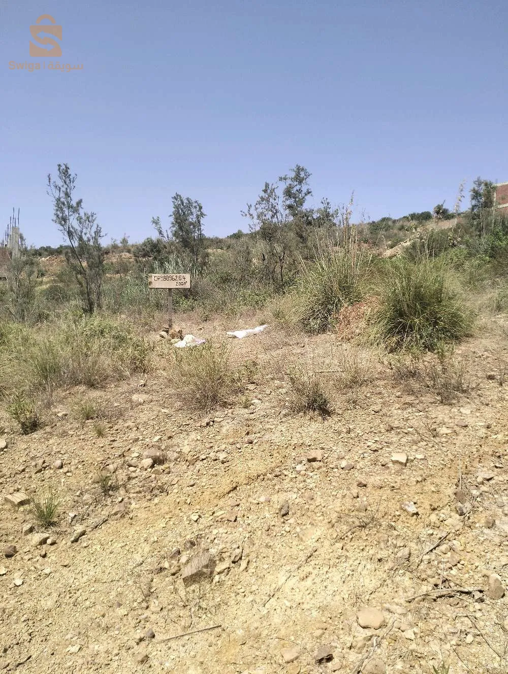lot terrain
