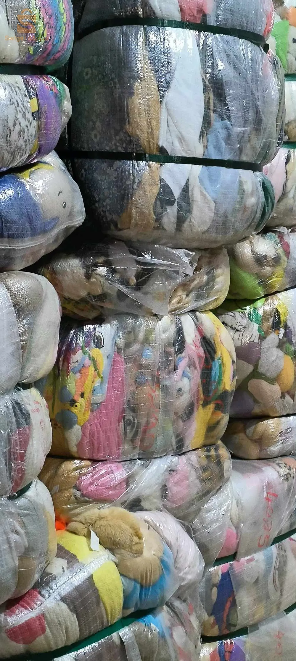 نونوس أوربي البيع جملة فقط المكان غليزان
