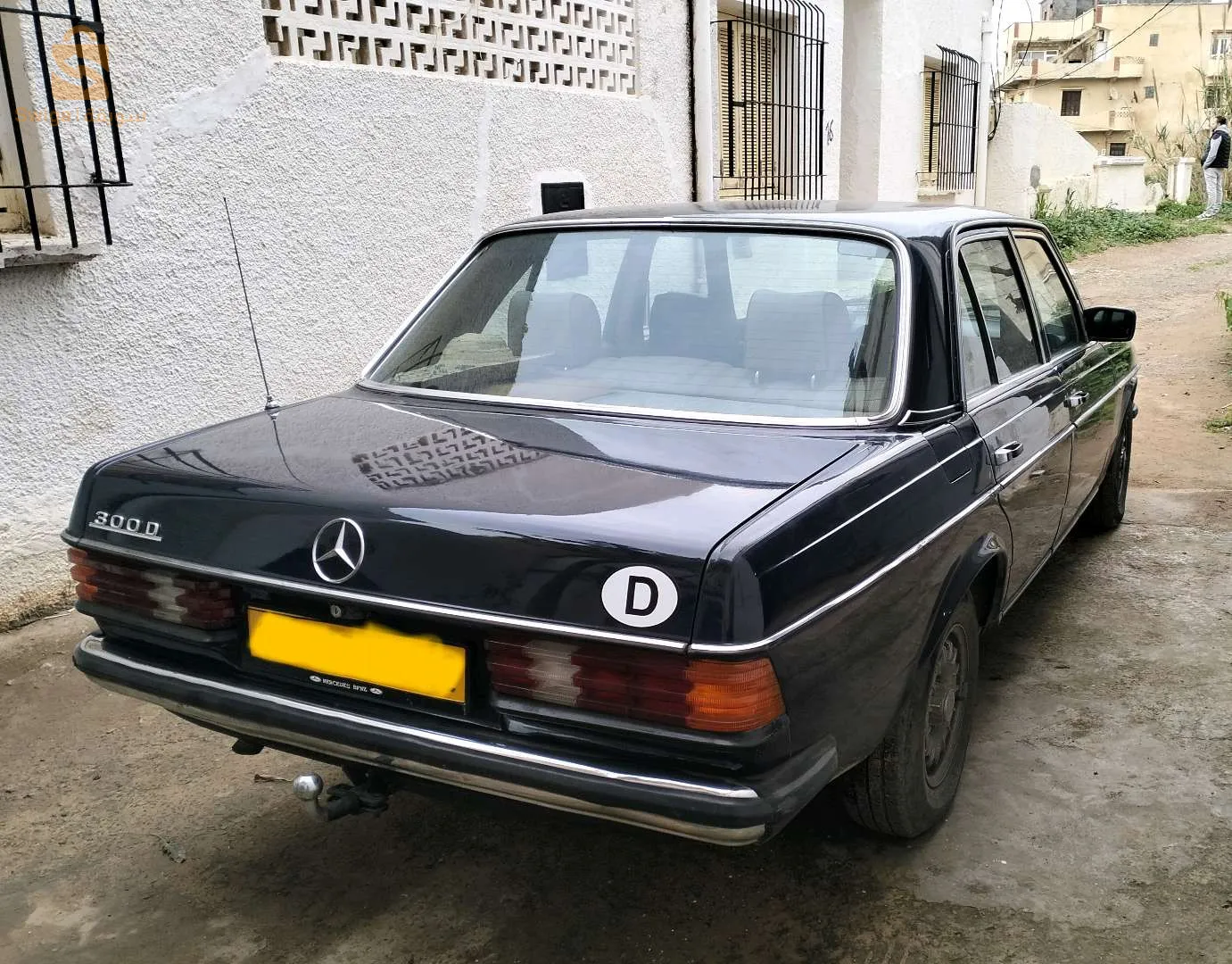 300d  1982 w 123 New tendances 2024