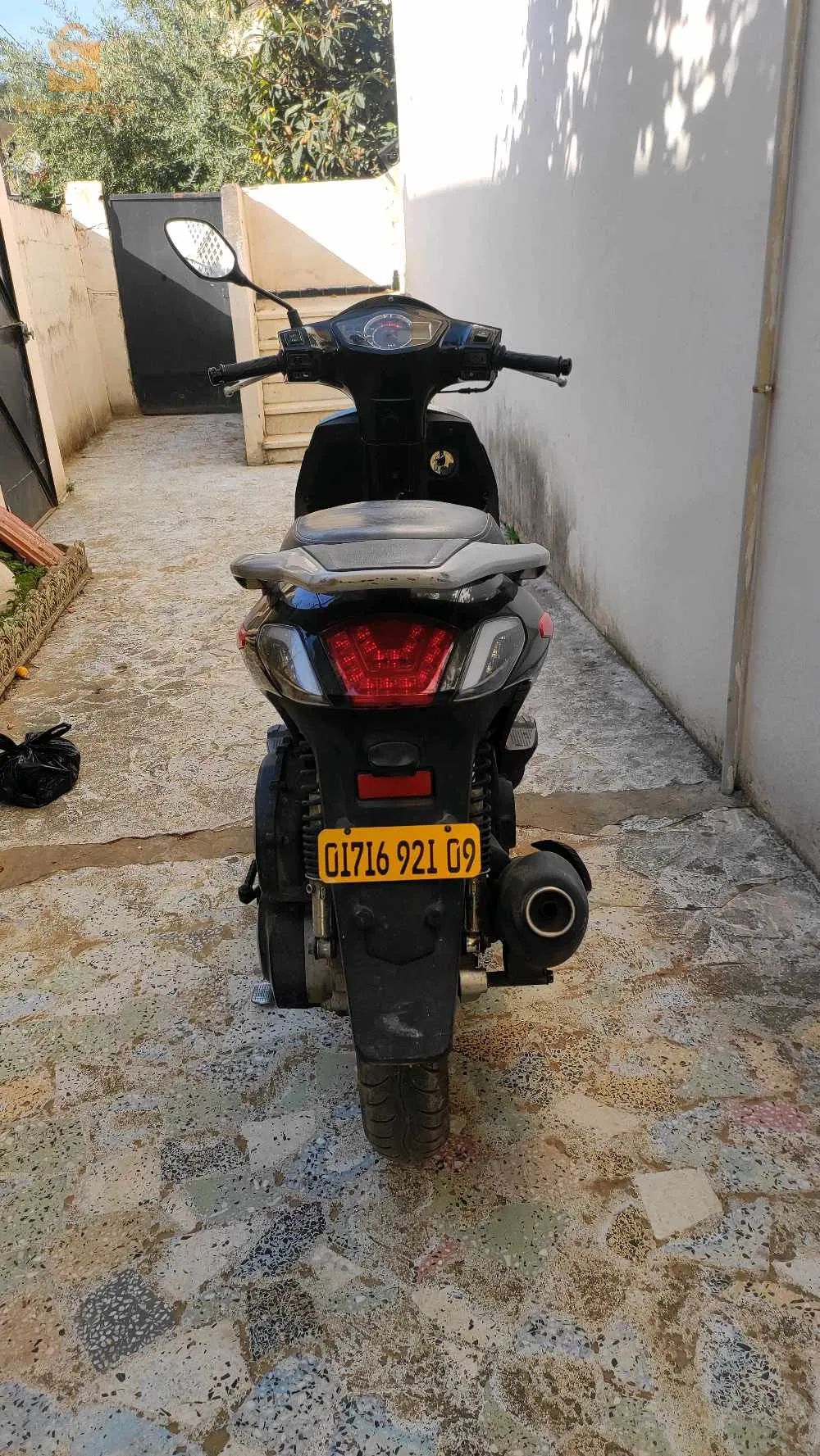 فياماس تويتر فلاش 2021