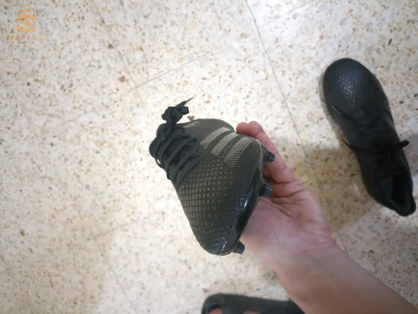 soulier adidas predator 42