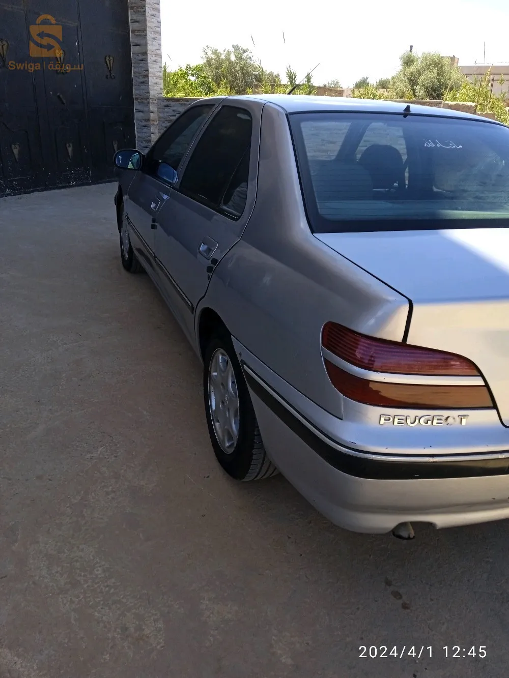 عشعاشة مستغانم